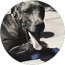 Jeru Jeejeebhoy profile picture